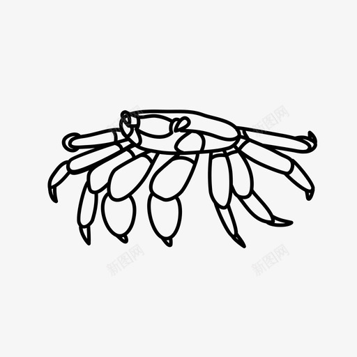 螃蟹动物插图svg_新图网 https://ixintu.com 螃蟹 动物 插图 丛林 野生 野生动物 动物园
