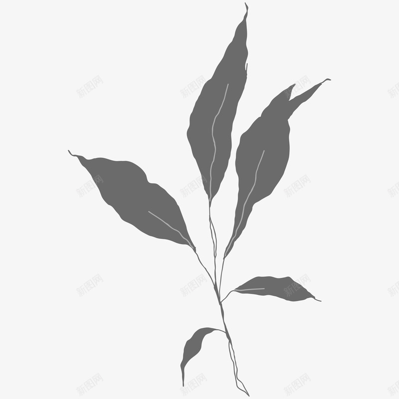 botanical leaves  sketched florals花草png免抠素材_新图网 https://ixintu.com 花草