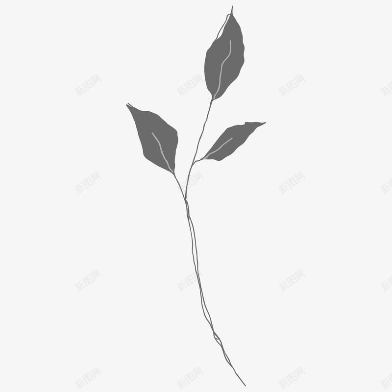 botanical leaves  sketched florals花草png免抠素材_新图网 https://ixintu.com 花草