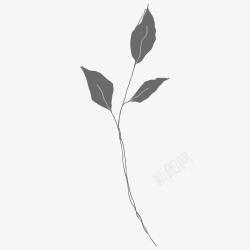 botanical leaves  sketched florals花草素材