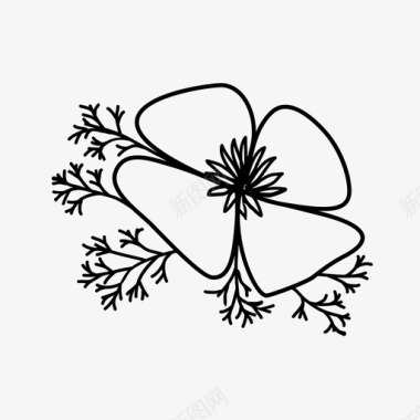 罂粟花美丽花卉图标