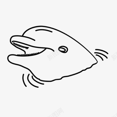 海豚动物插图图标