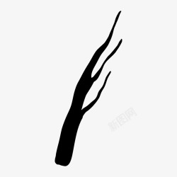 BranchesBranches插画高清图片