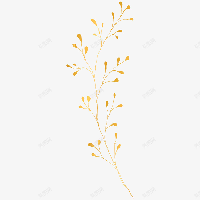 botanical leaves  sketched florals花草png免抠素材_新图网 https://ixintu.com 花草