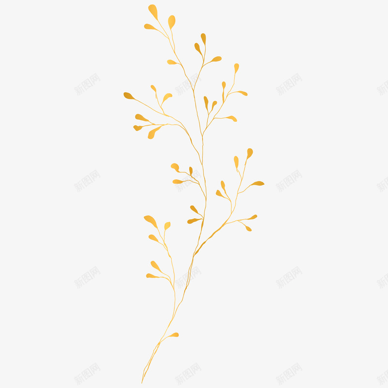 botanical leaves  sketched florals花草png免抠素材_新图网 https://ixintu.com 花草