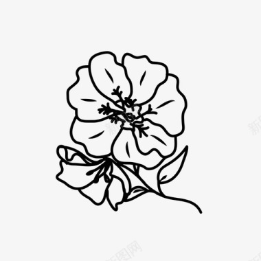 天竺葵美丽花卉图标