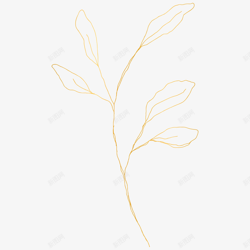 botanical leaves  sketched florals花草png免抠素材_新图网 https://ixintu.com 花草