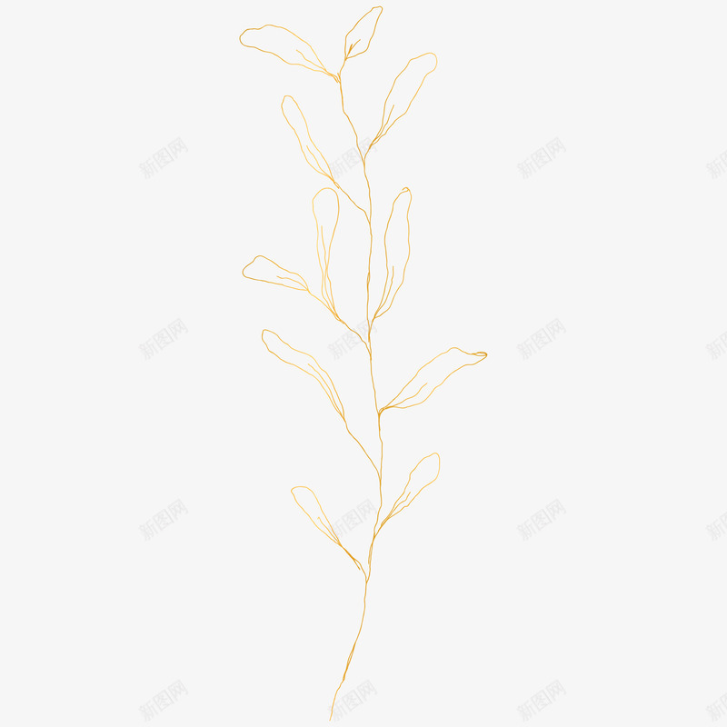 botanical leaves  sketched florals花草png免抠素材_新图网 https://ixintu.com 花草