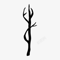 BranchesBranches插画高清图片