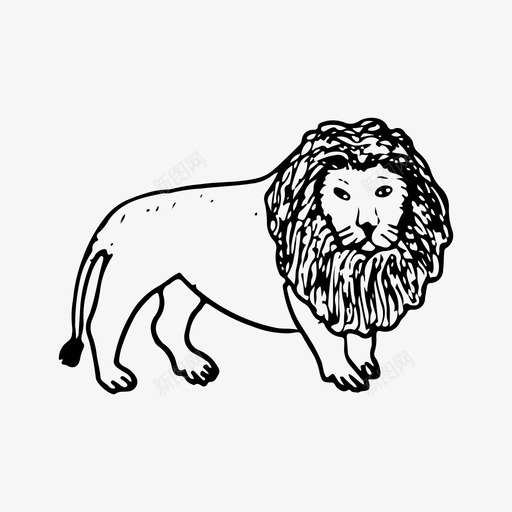 狮子动物手绘svg_新图网 https://ixintu.com 狮子 动物 手绘 自然 野生