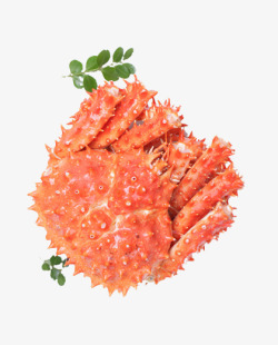 蟹食物素材