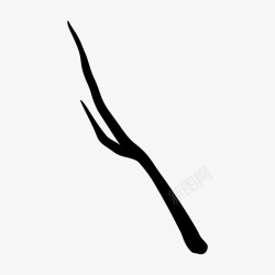 BranchesBranches插画高清图片