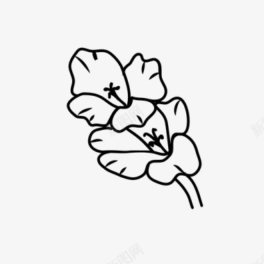 唐菖蒲美丽花卉图标