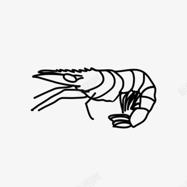 虾动物插图图标