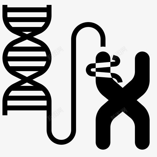 染色体生物学细胞svg_新图网 https://ixintu.com 染色体 生物学 细胞 遗传学 生物工程 雕文