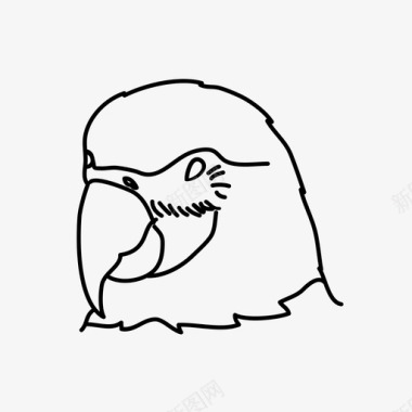 鹦鹉动物插图图标
