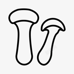 松茸蘑菇食品真菌高清图片