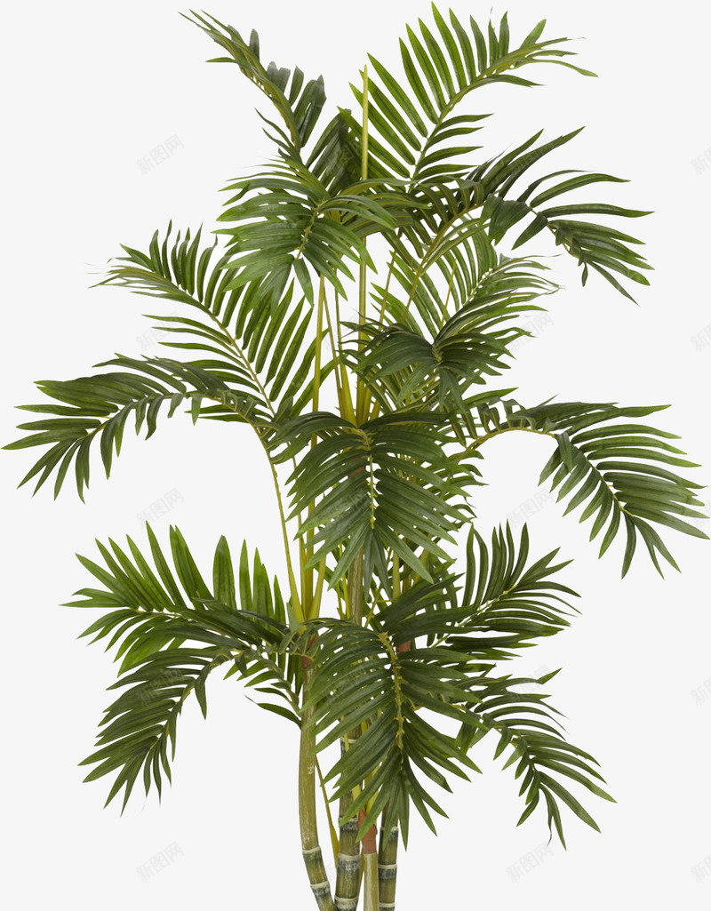 花瓶花束等png免抠素材_新图网 https://ixintu.com 花瓶 花束