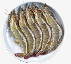 虾食虾  食材高清图片