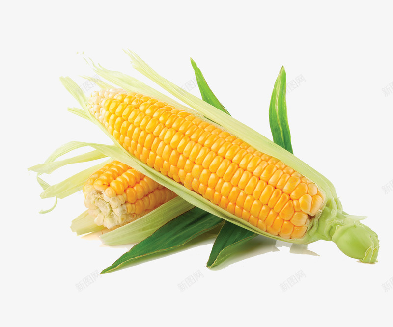 玉米生鲜png免抠素材_新图网 https://ixintu.com 玉米 生鲜