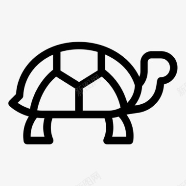海龟动物水生动物图标