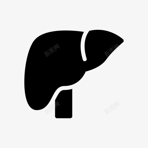 肝脏身体肝脏学svg_新图网 https://ixintu.com 肝脏 身体 学医 医学 器官 医生 专家 家行 字形