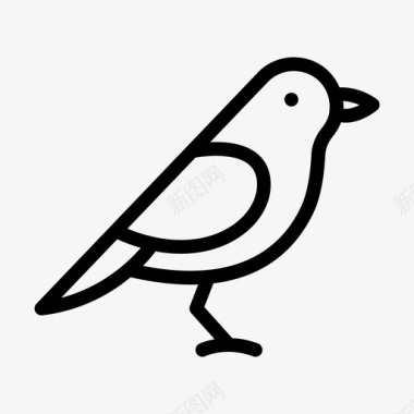 麻雀鸟鸽子图标