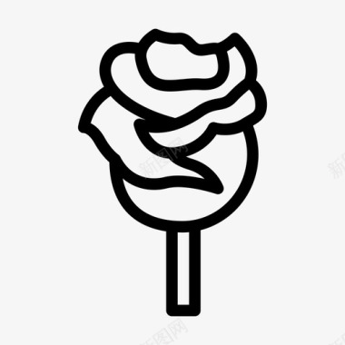玫瑰绽放花朵图标