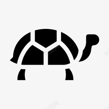海龟动物水生动物图标