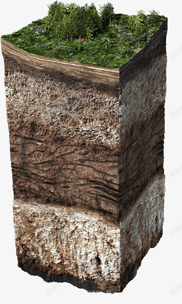 绿色森林岩石土壤A收集png免抠素材_新图网 https://ixintu.com 绿色 森林 岩石 土壤 收集