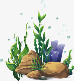 海草插画植物类素材