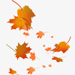 枫叶色秋天飘落下的红色树叶矢量素材高清图片