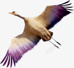 紫色的小鸟太阳鸟野生鸟类飞鸟燕子水鸟鸟类高清图片