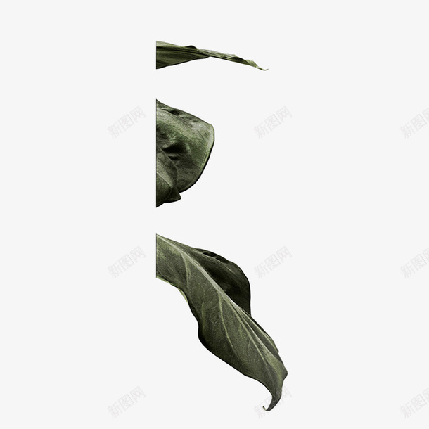 绿色装饰植物树叶pngpng免抠素材_新图网 https://ixintu.com 绿色 装饰 植物 树叶