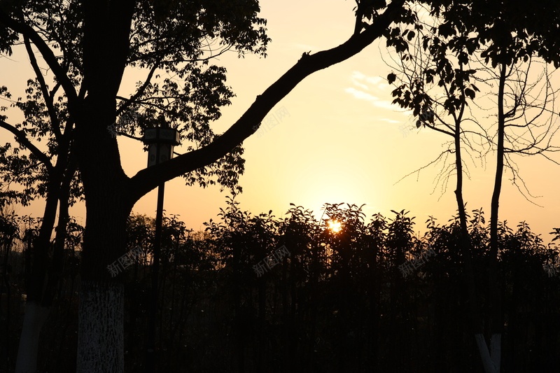 夕阳黄昏日落公园jpg设计背景_新图网 https://ixintu.com 夕阳 树木 黄昏 落日