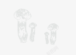 蘑菇松茸几颗小小松茸高清图片