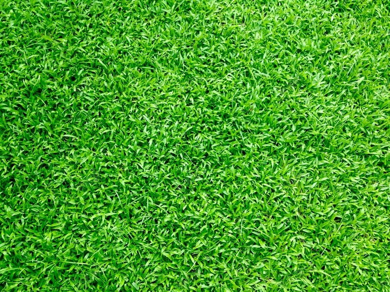 绿色草坪生态环保jpg设计背景_新图网 https://ixintu.com 绿色 草坪 生态 环保