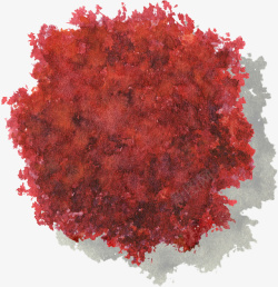 红色色叶树大树水彩风手绘带投影素材