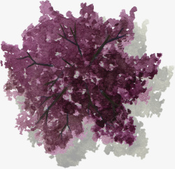 紫色树枝树冠水彩风手绘带投影素材