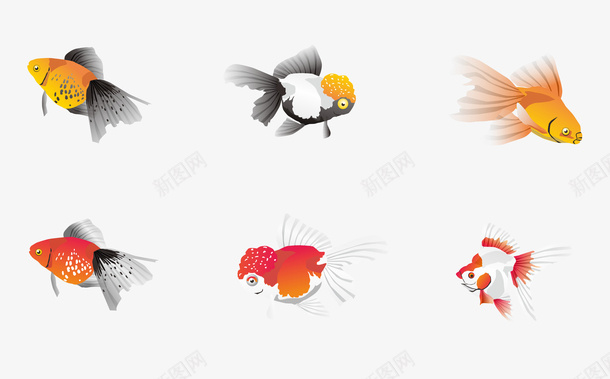 插画金鱼套图png免抠素材_新图网 https://ixintu.com 插画 金鱼 卡通 装饰 免抠