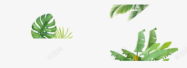 绿植设计元素png免抠素材_新图网 https://ixintu.com 绿植 树叶 椰子树叶 植物叶子