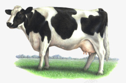 牛奶牛卡通奶牛扭转乾坤素材