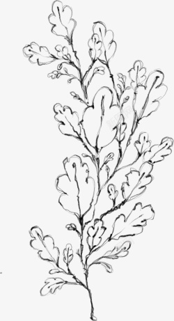 水彩手绘线描风景画水墨植物元素15高清图片