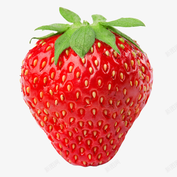 可爱实物大草莓png免抠素材_新图网 https://ixintu.com 草莓 实物 食物 红草莓