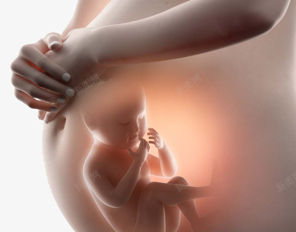 大肚子婴儿孕妇孕妈透视婴儿png免抠素材_新图网 https://ixintu.com 大肚子 婴儿 孕妇 孕妈 透视婴儿