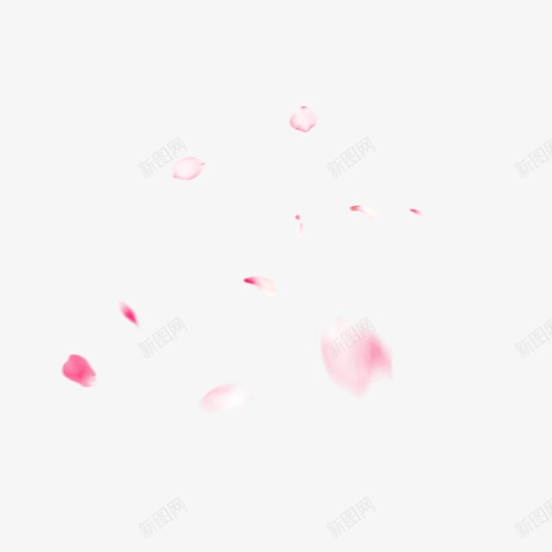 漂浮元素粉色花瓣叶子png免抠素材_新图网 https://ixintu.com 完结撒花 洒落花瓣 浪漫 漂浮 粉色 花瓣 装饰元素