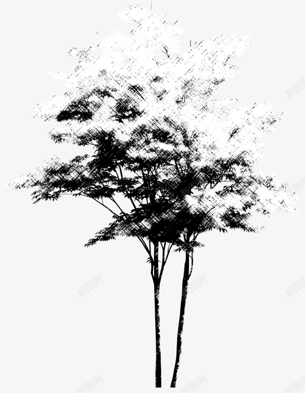 素描水墨参天大树png免抠素材_新图网 https://ixintu.com 素帽 黑白 植物 大树 国风