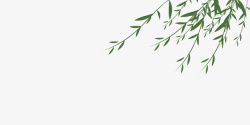 垂枝惊蛰节气柳树枝元素高清图片
