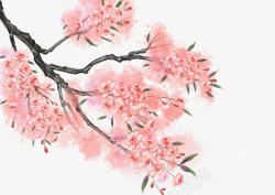 樱花树背景春天樱花树枝绿叶高清图片