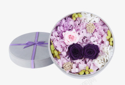 情人节高清紫色玫瑰花礼盒素材
